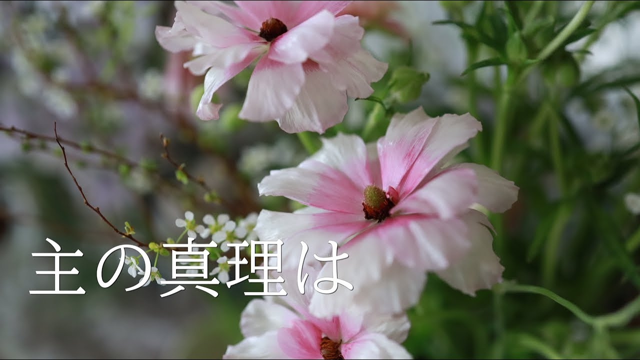 讃美歌21 227「主の真理は」多重録音