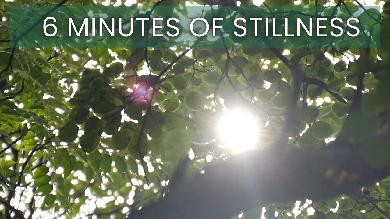 Stillness Meditation for Mental Clarity and Calm