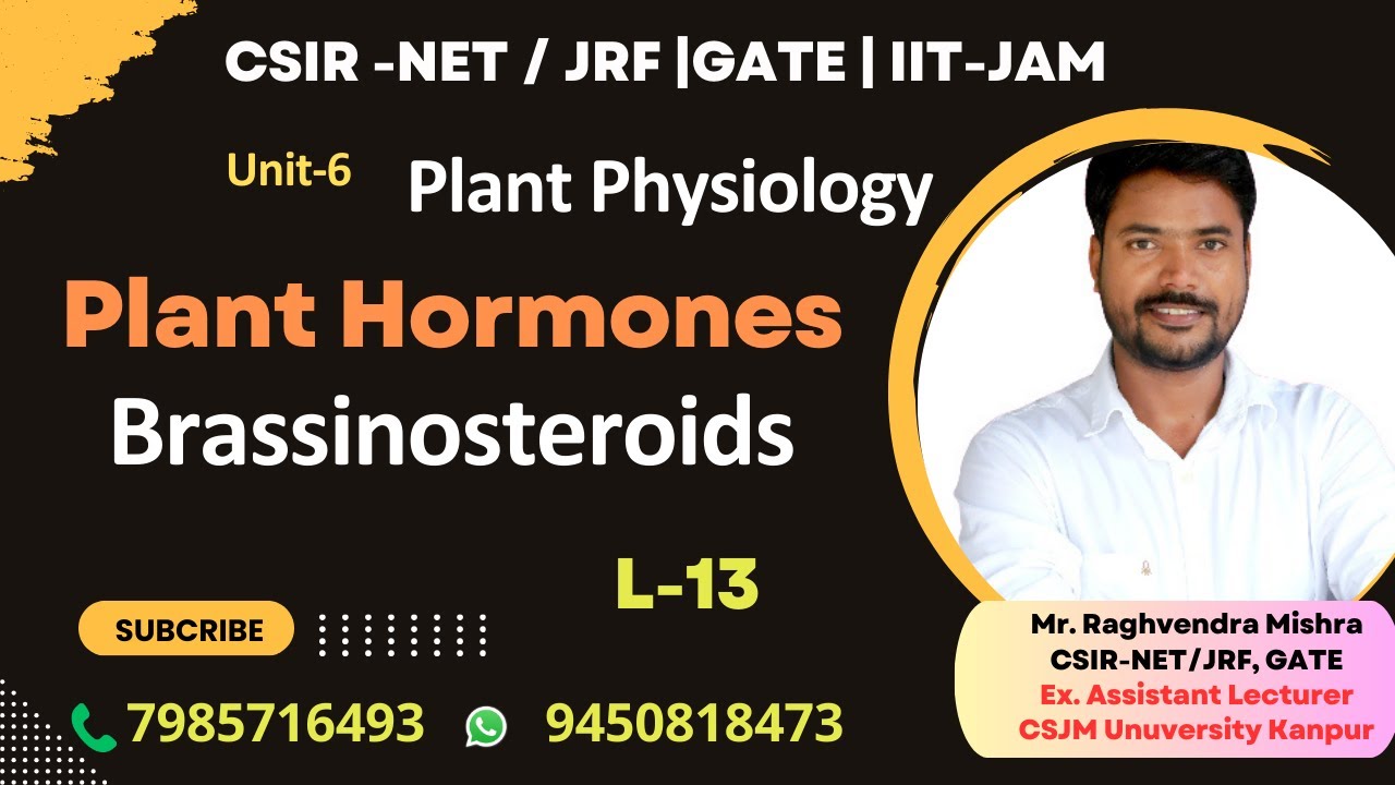 Brassinosteroids | Biosynthesis & Signaling | Plant Hormones | Plant Physiology #genesis_institute