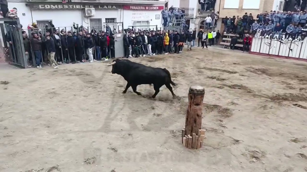 Salida y Detalles del Cerril del Torero en Castellnovo