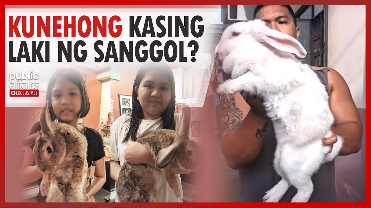 Kunehong kasing laki ng sanggol? | Public Affairs Exclusives
