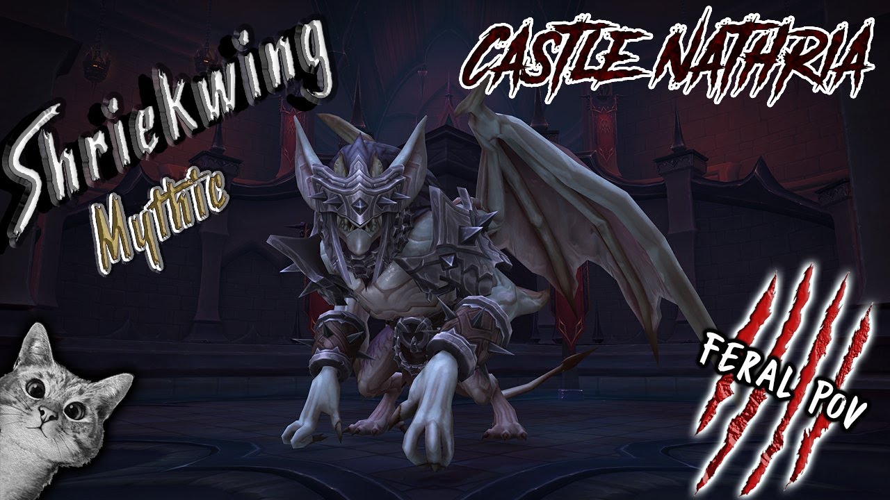Castle Nathria - Shriekwing Mythic - Feral PoV
