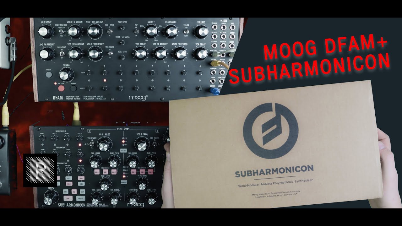 MOOG DFAM + SUBHARMONICON | riemannkollektion.com