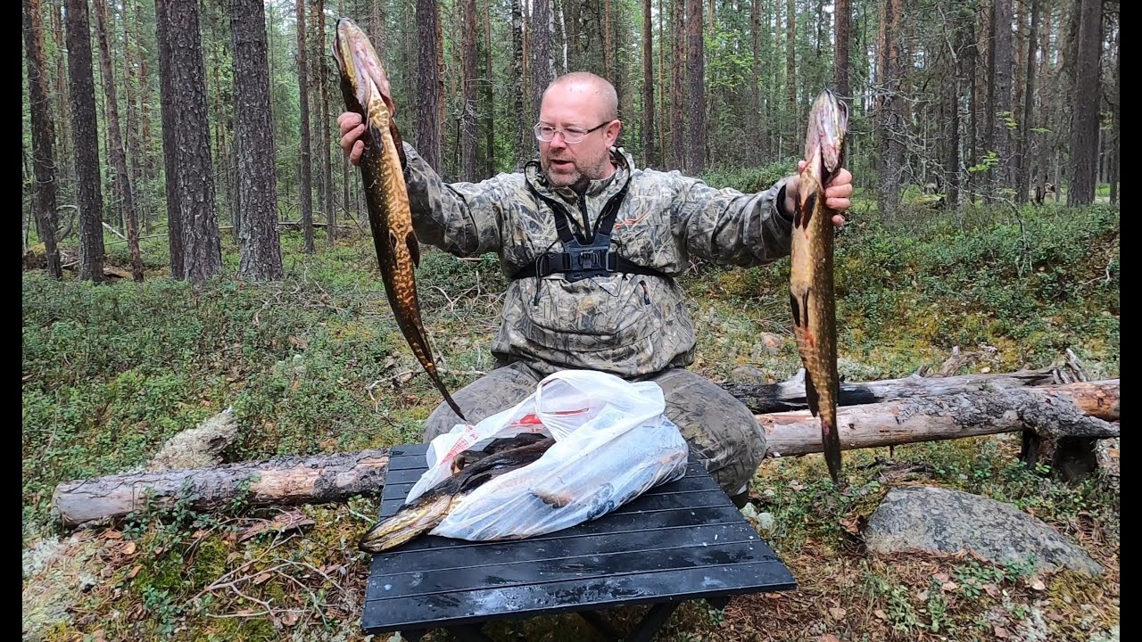 Рыбалка в Карелии. Боевые щуки таёжного озера.