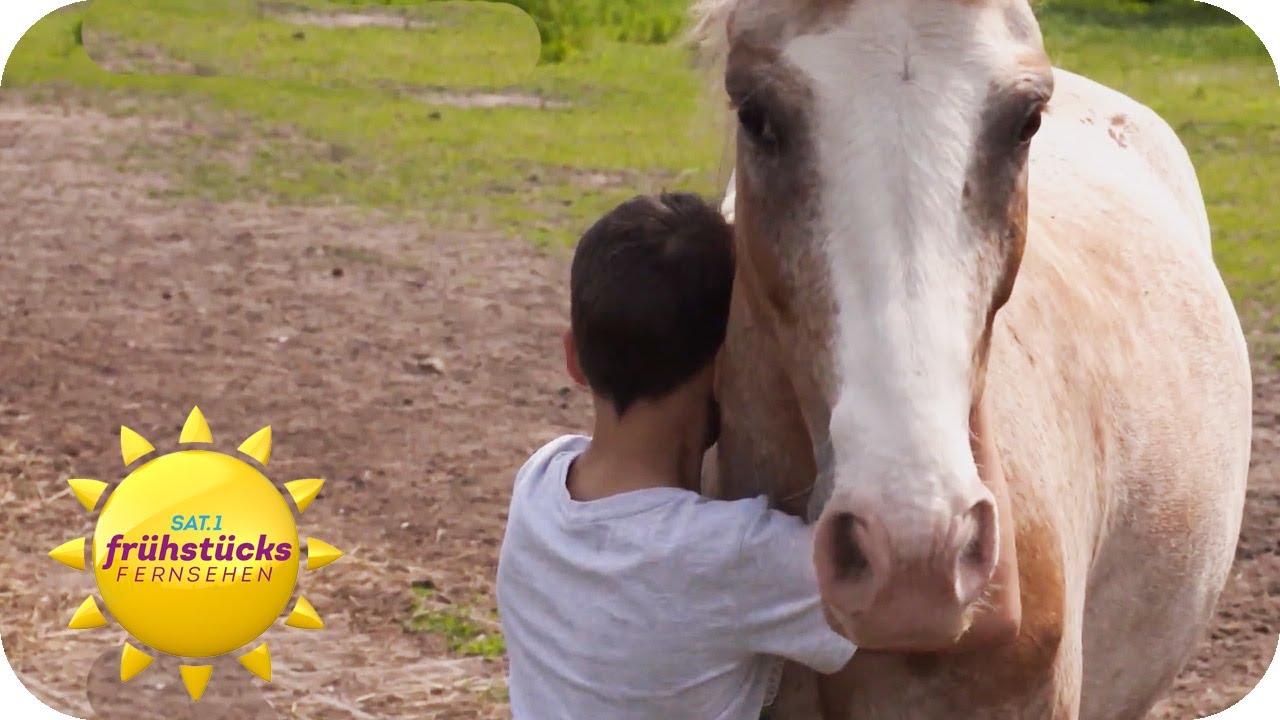 Pferde machen Kinder in schwierigen Lebenssituationen glücklich | SAT.1 Frühstücksfernsehen