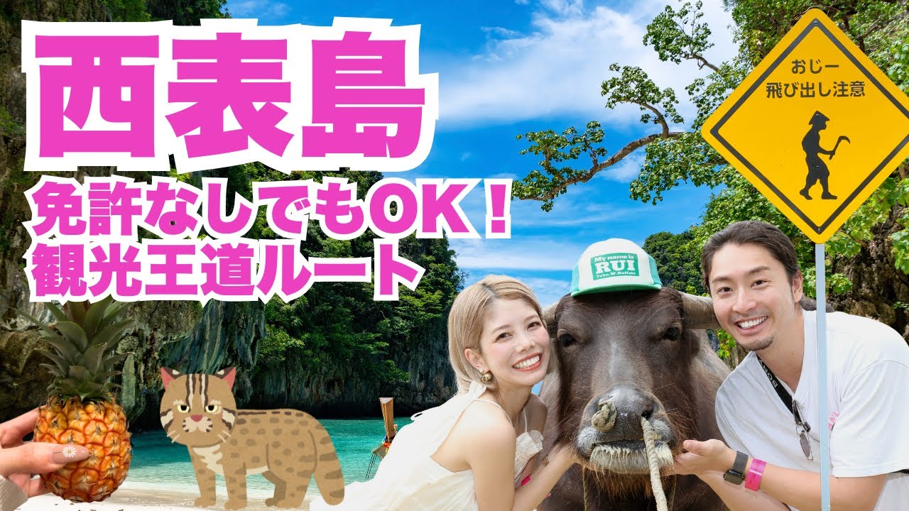 【西表島・由布島】石垣島から日帰り＆車なしで大満喫！免許不要でも楽しめる観光ルート完全ガイド