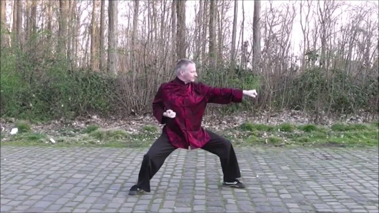 Tai Wu Dao Drachenform 1 Tutorial