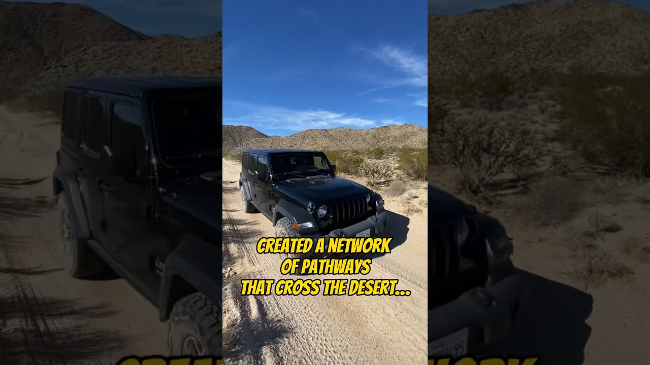 History of the Mojave Road ⛺️ #offroad #overland #camping
