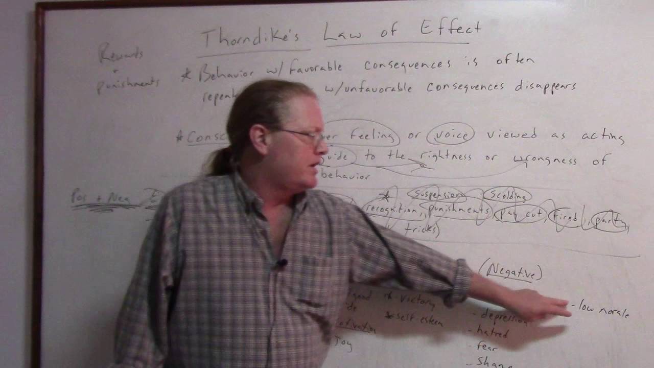 MVI 0191 Thorndike's Law of Effect
