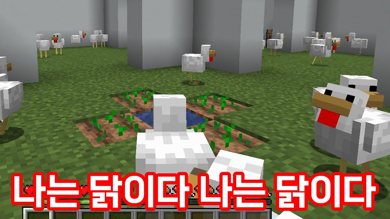 나는 치킨이 될 닭이다.. 나는 치킨이 닭.. - 라스트 닭탠딩 (마인크래프트)