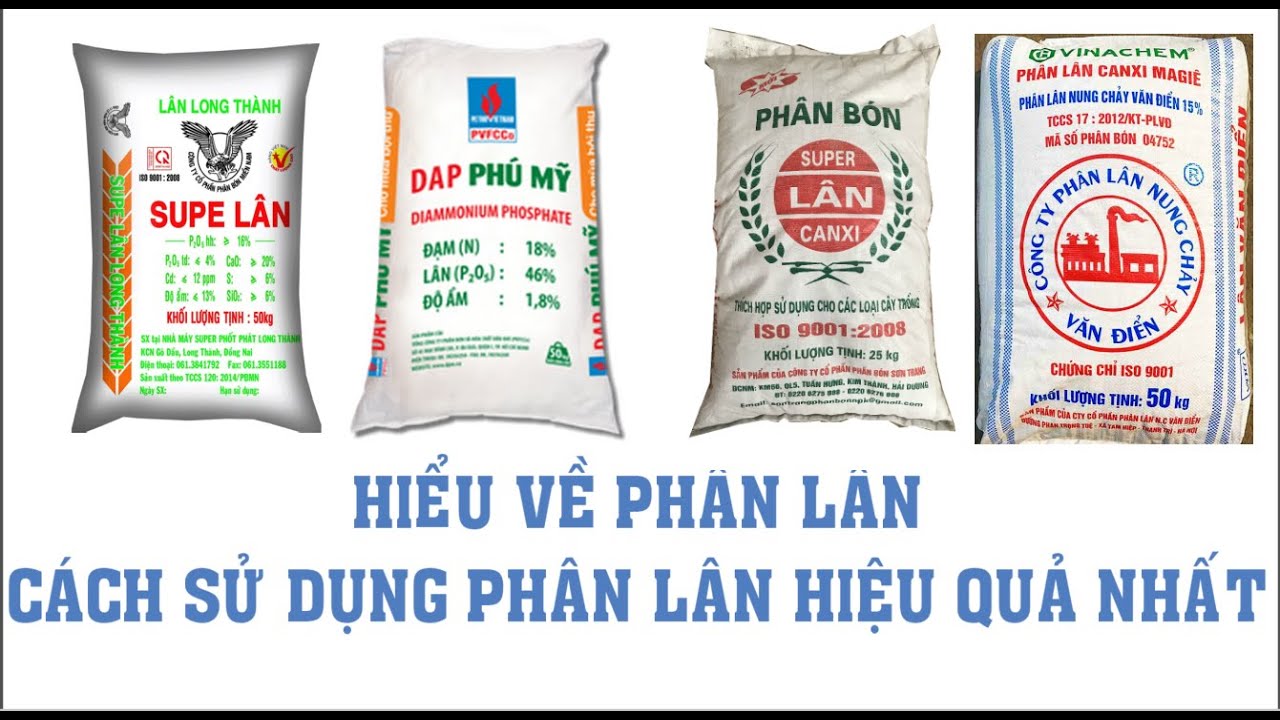 Nông dân cần biêt-hiểu về Lân, cách sử dụng phân Lân hiệu quả cao ít tốn kém