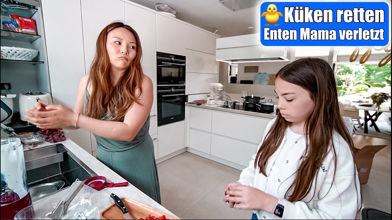 10 Küken retten 🥺 Was ist passiert?! Ente schwer verletzt! Futter zubereiten! Teil 2 Mamiseelen
