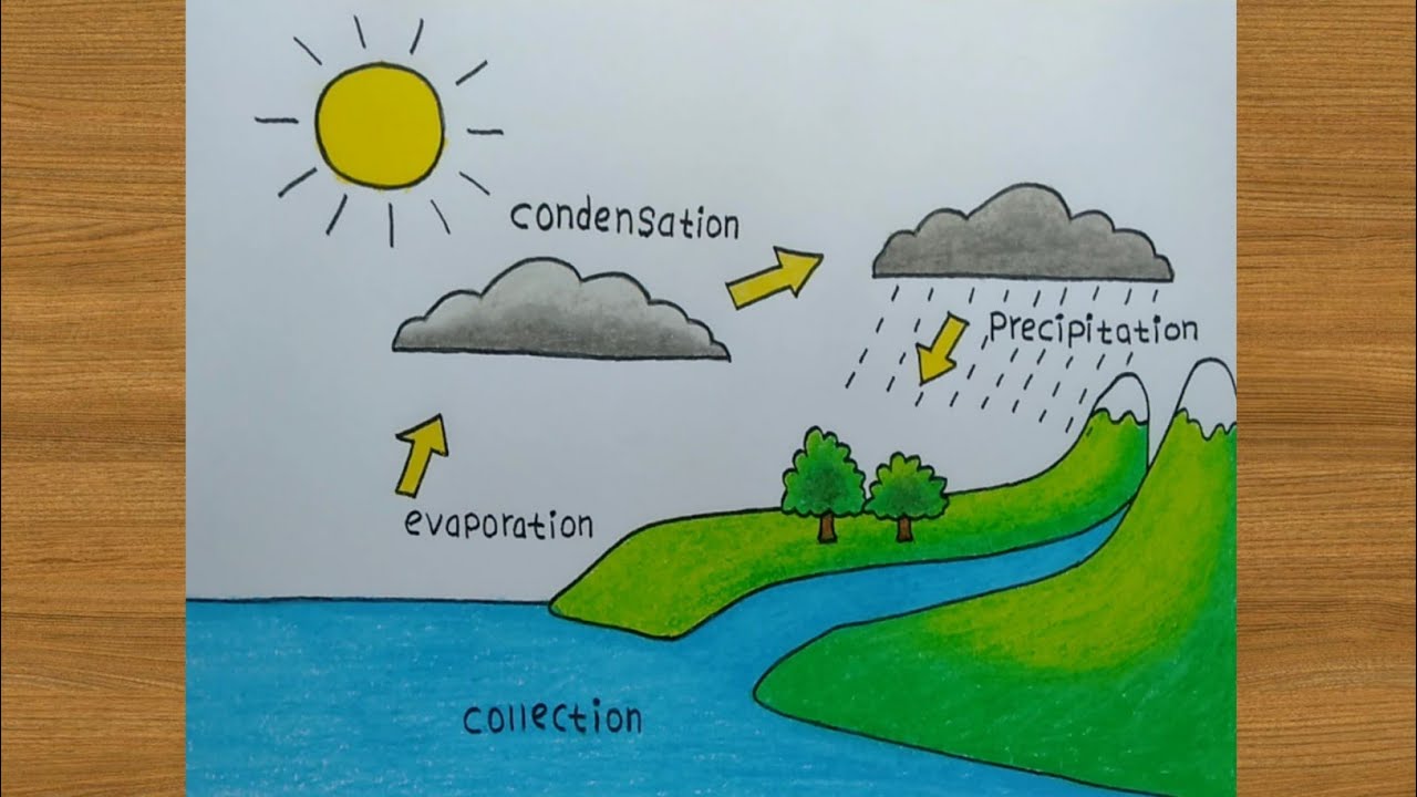 Cara menggambar siklus air dengan mudah sekali || Drawing All Bara