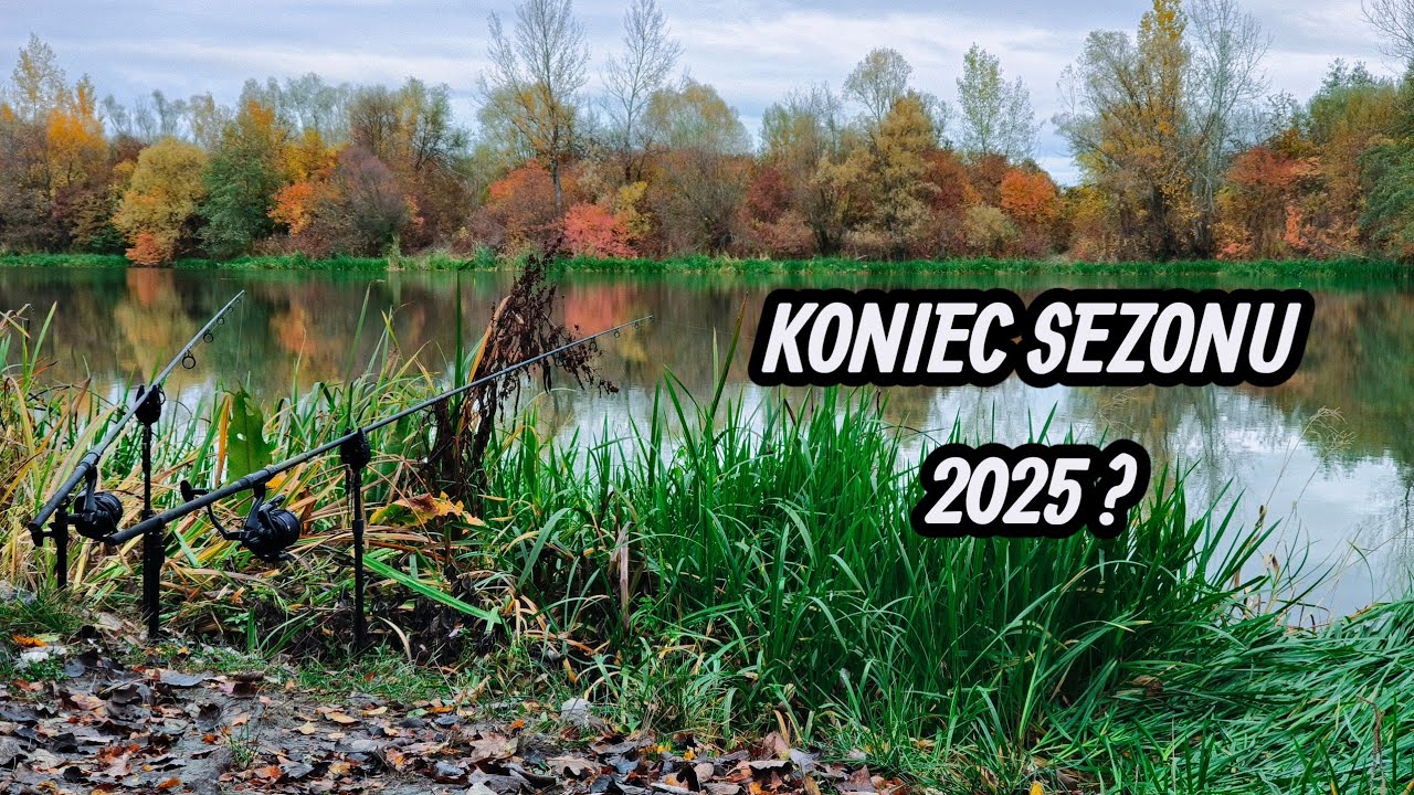Czy to już koniec sezonu? Piękne kolory jesieni i 
