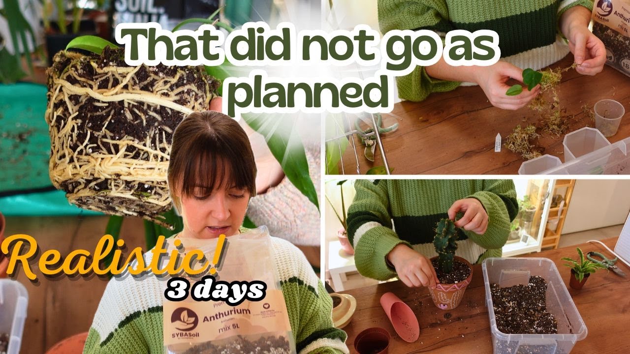 REALISTIC 3 Days Of Plant Chores As A 🤧 Family Of 4🌿