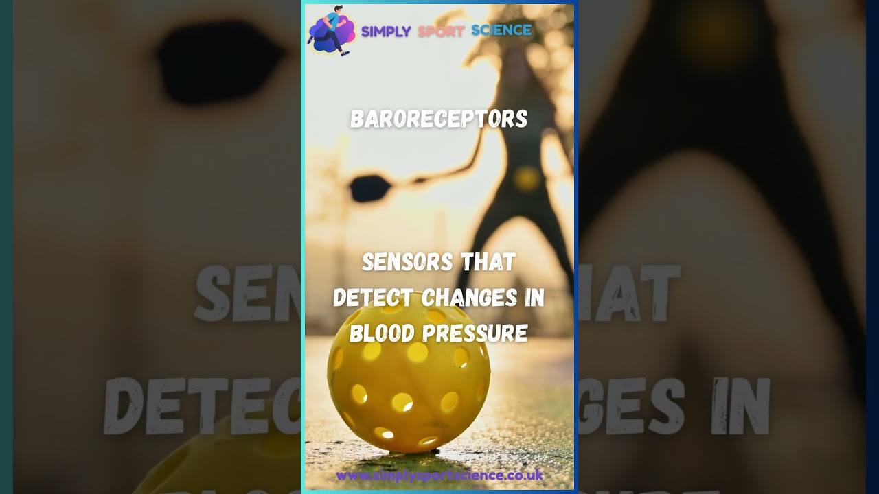 Sport Science: Baroreceptors