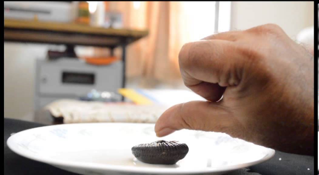 SHALIGRAM  HOW TO TEST REAL OR FAKE