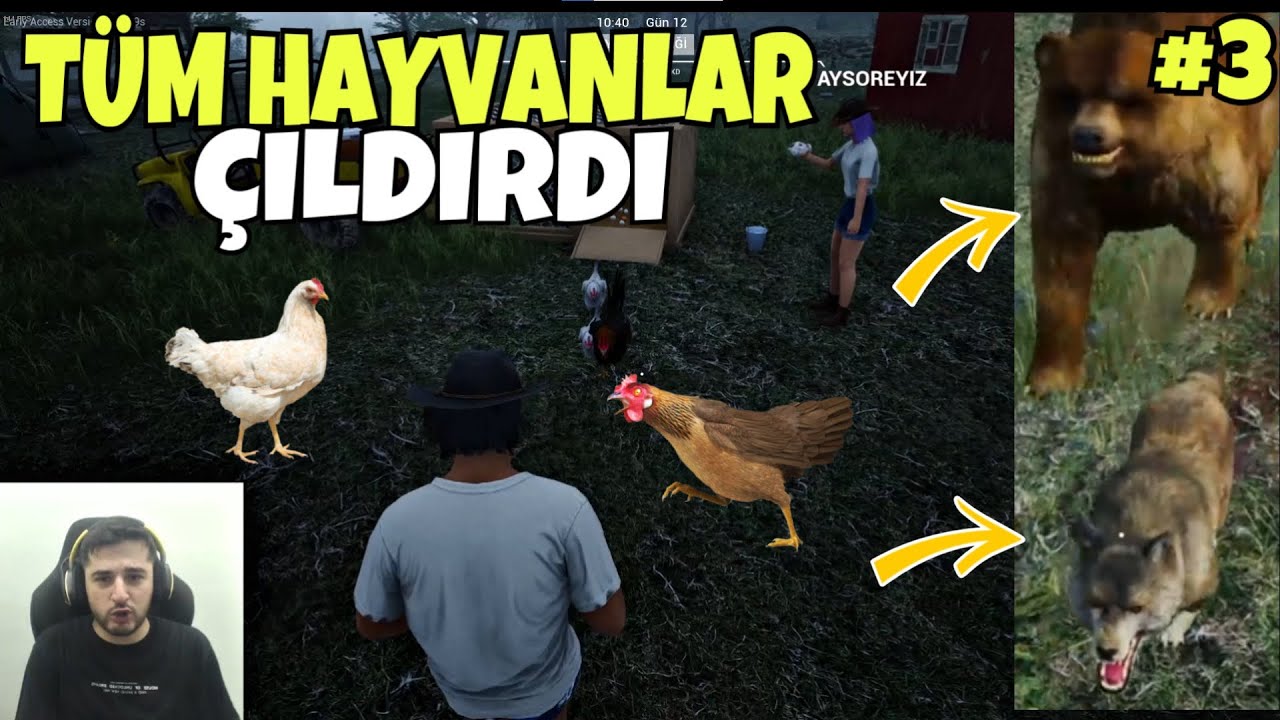 ÇİFTLİKTEKİ TÜM HAYVANLAR DELİRDİ, TAVUK SALDIRISINA UĞRADIK! RANCH SIMILATOR (3.BÖLÜM)