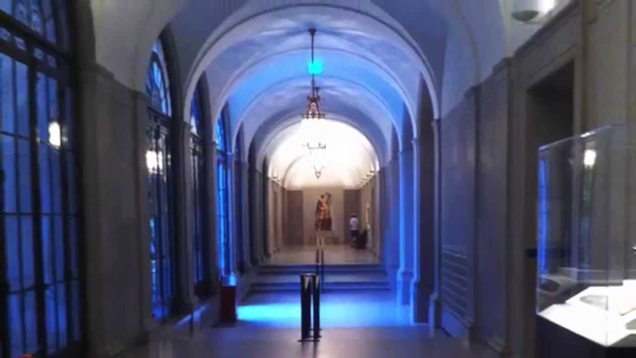 Sackler and Freer Galleries