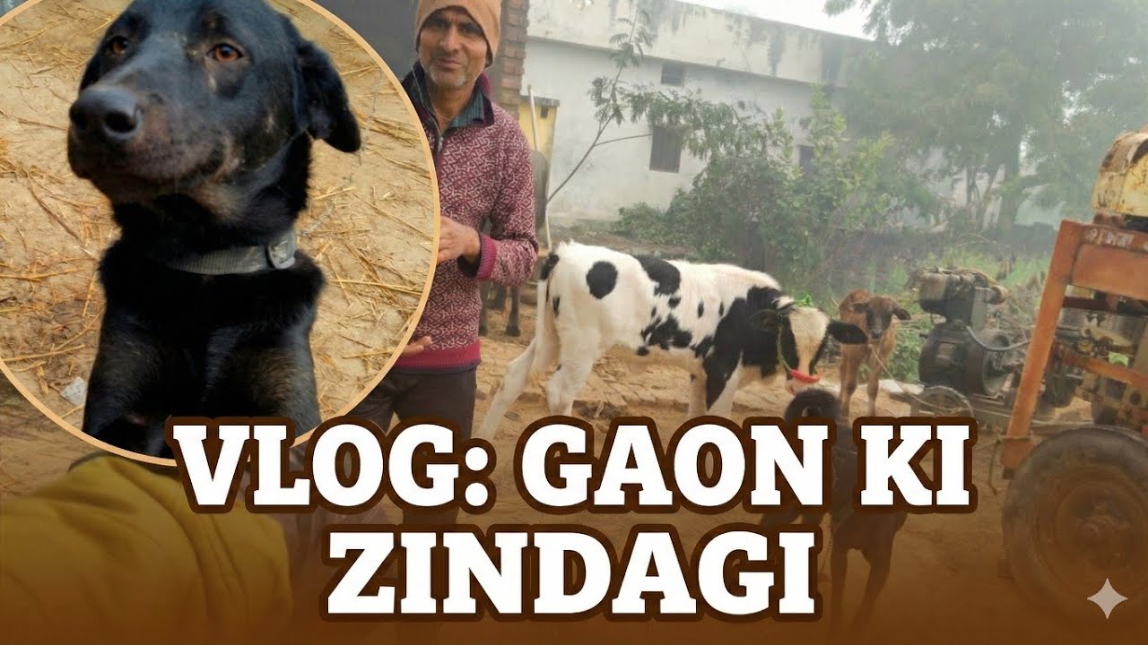 Vlog: Gaon Ki Jindagi 🫡 #viral #vlog #trending 