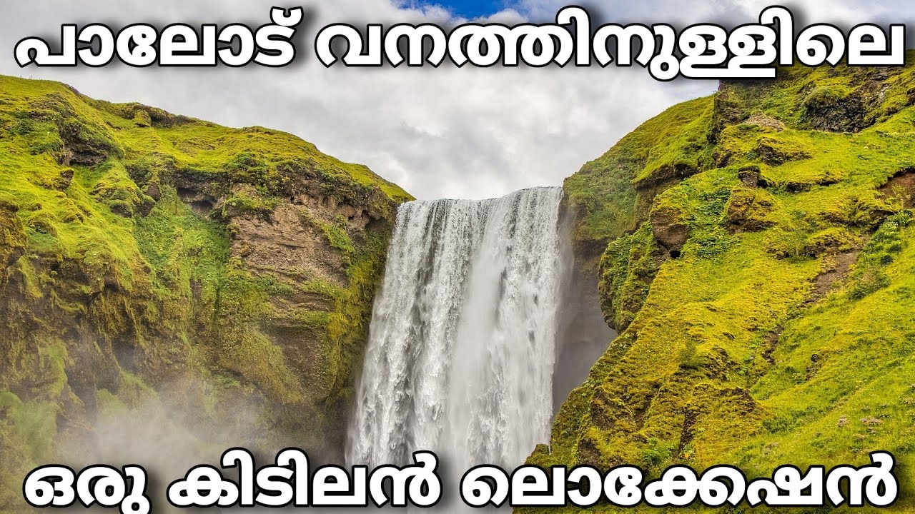 Palode Anakulam Forest Travel Vlog | Praveen Raj Bharathannoor