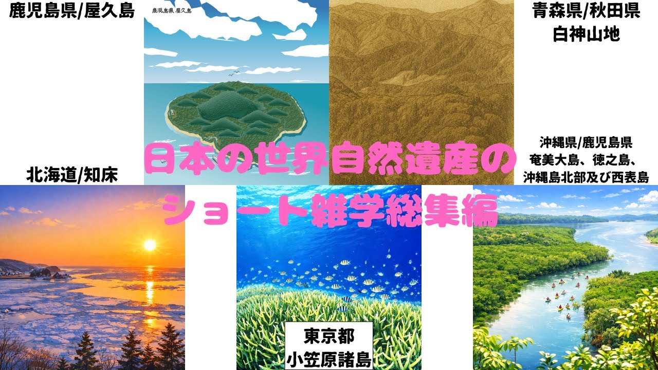 日本の世界自然遺産のショート雑学まとめ　屋久島　白神山地　知床　小笠原諸島　奄美大島、徳之島、沖縄北部及び西表島