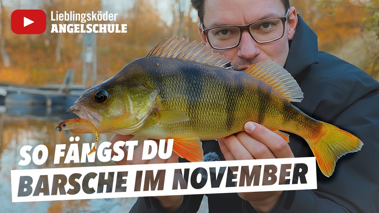 FANGGARANTIE - So f&auml;ngst du BARSCHE im November 🎣 ✅