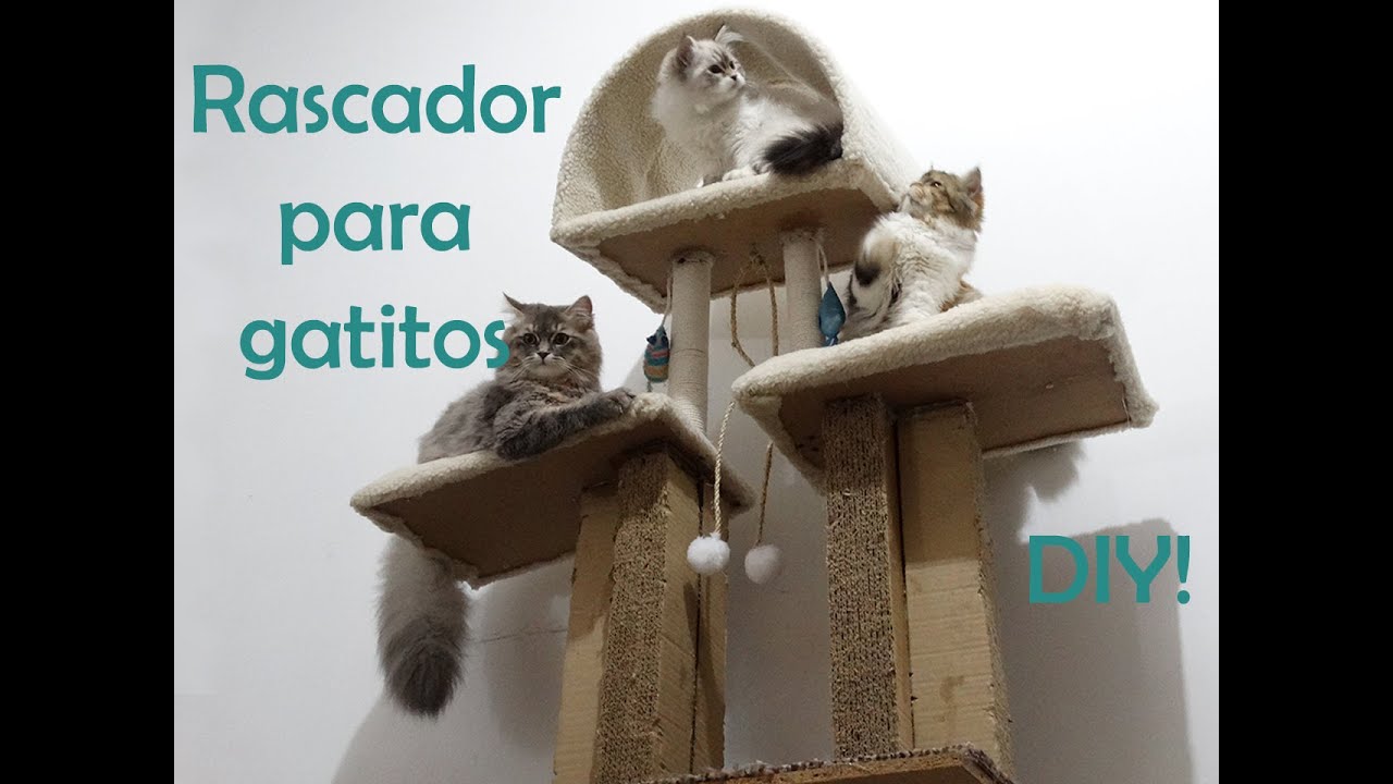 Rascador para gatos DIY