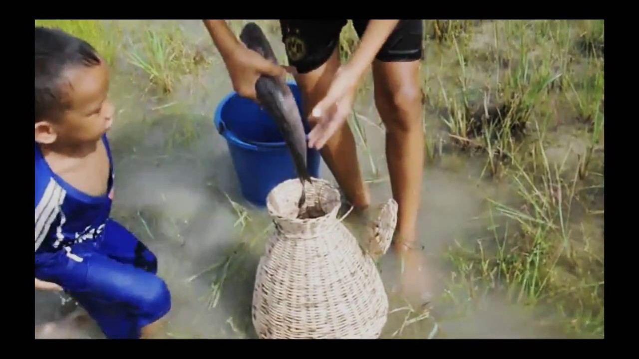 fishing in Cambodia new [new fishing 2016]