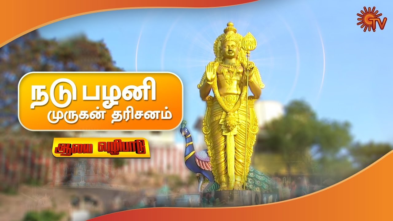 நடுபழனி முருகன் தரிசனம் | தை பூசம் சிறப்பு | ஆலய வழிபாடு | Sun TV