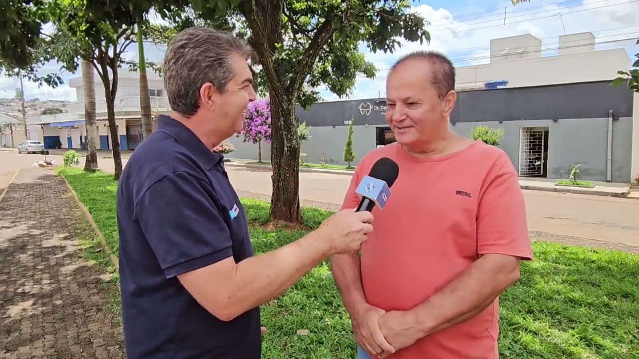 Novo Código de Arborização prevê multas pesadas para cortes e podas de árvores sem autorização