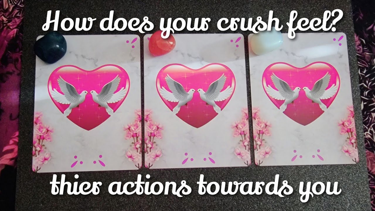 💖 How does your crush feel about you?  thier thoughts & actions towards you 💖 pick a card  timeless
