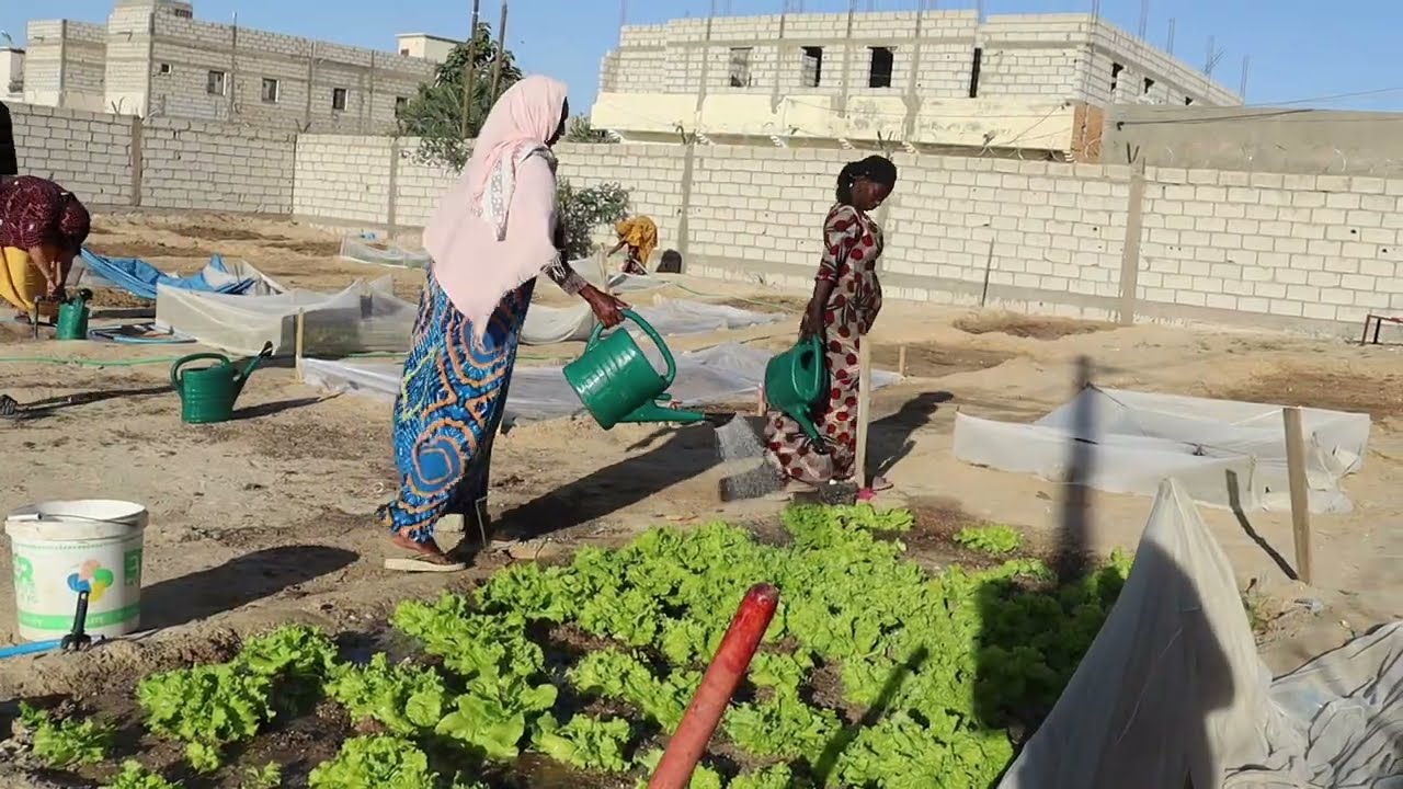 Capitalisation AGRIFEM ACCEM 2026