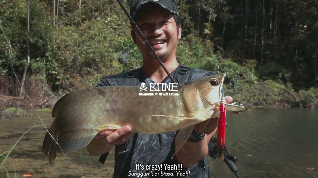 Topwater Asian Arowana hookup on the BONE Hoverjet 100F!