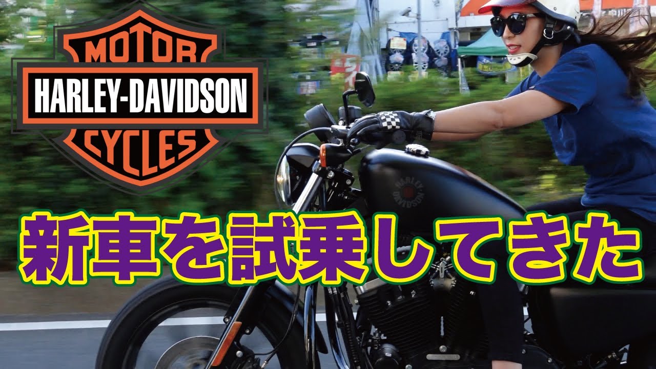 【ハーレー新車初体験】アイアン？スポーツスター試乗してみた【初ディーラー】