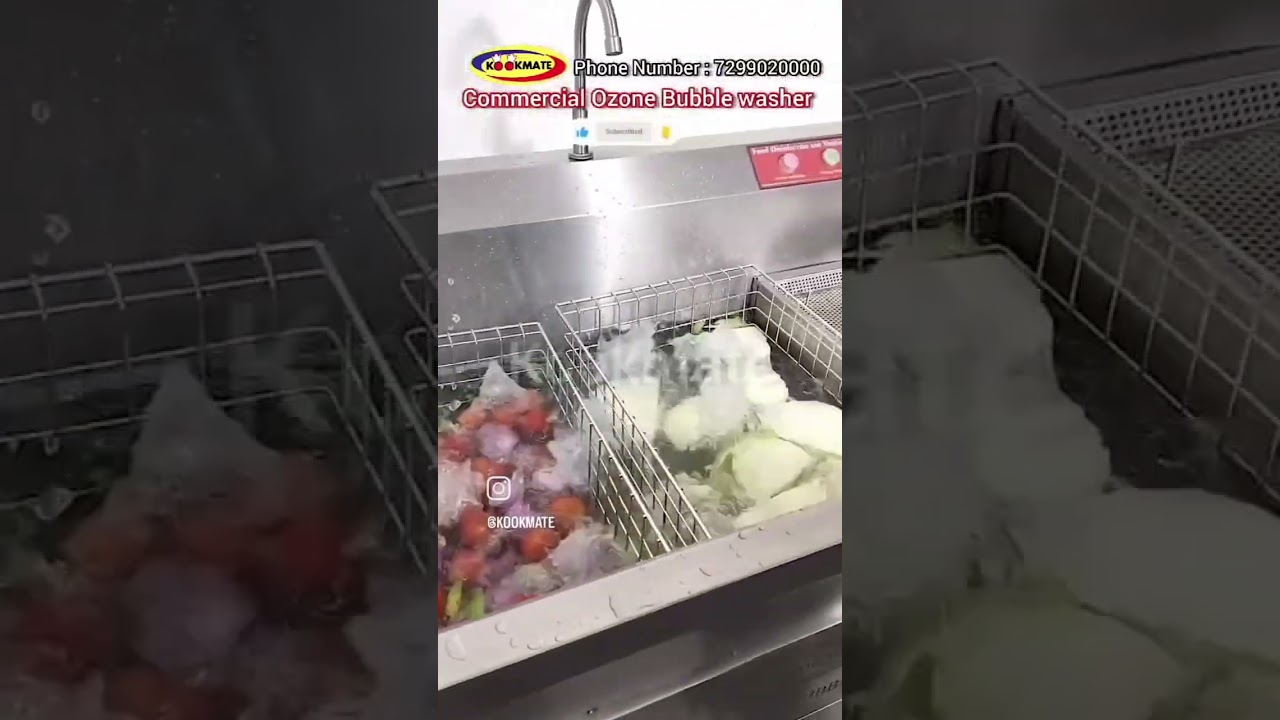 Commercial Vegetable Bubble Washer & Ozone Disinfection Machine | Bulk Vegetables Cleaning & washer
