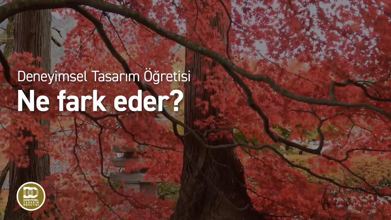 Deneyimsel Tasarım Öğretisi - Ne Fark Eder?