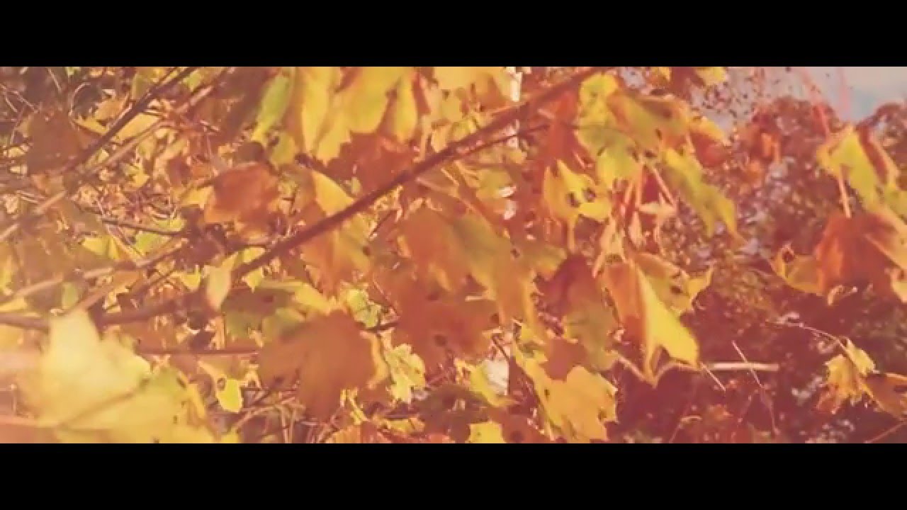 Lukas Termena - Autumn Walk (Original Mix)