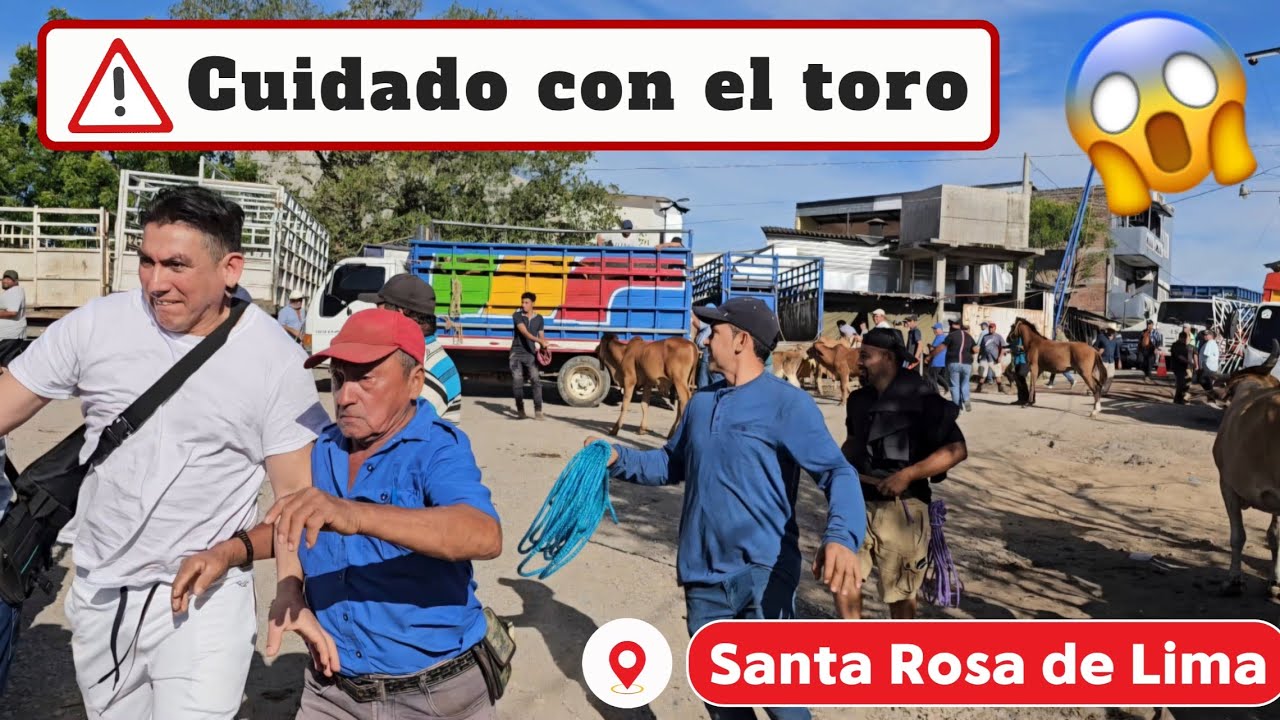 Santa Rosa De Lima, La Unión 