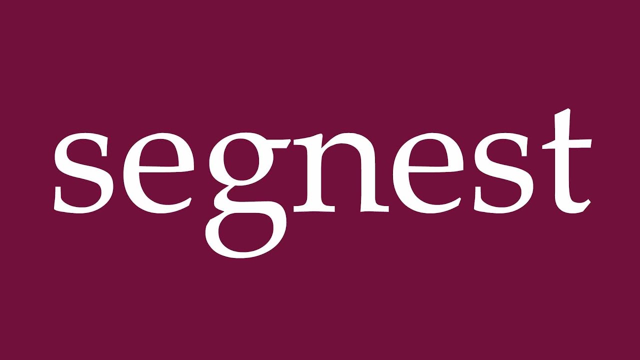 How to Pronounce ''segnest'' (bless) Correctly in German