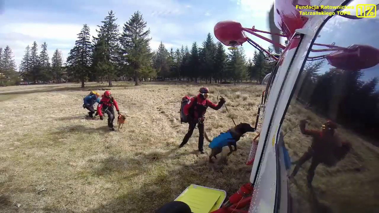 Fundacja TOPR - Szkolenie psów lawinowych 2014