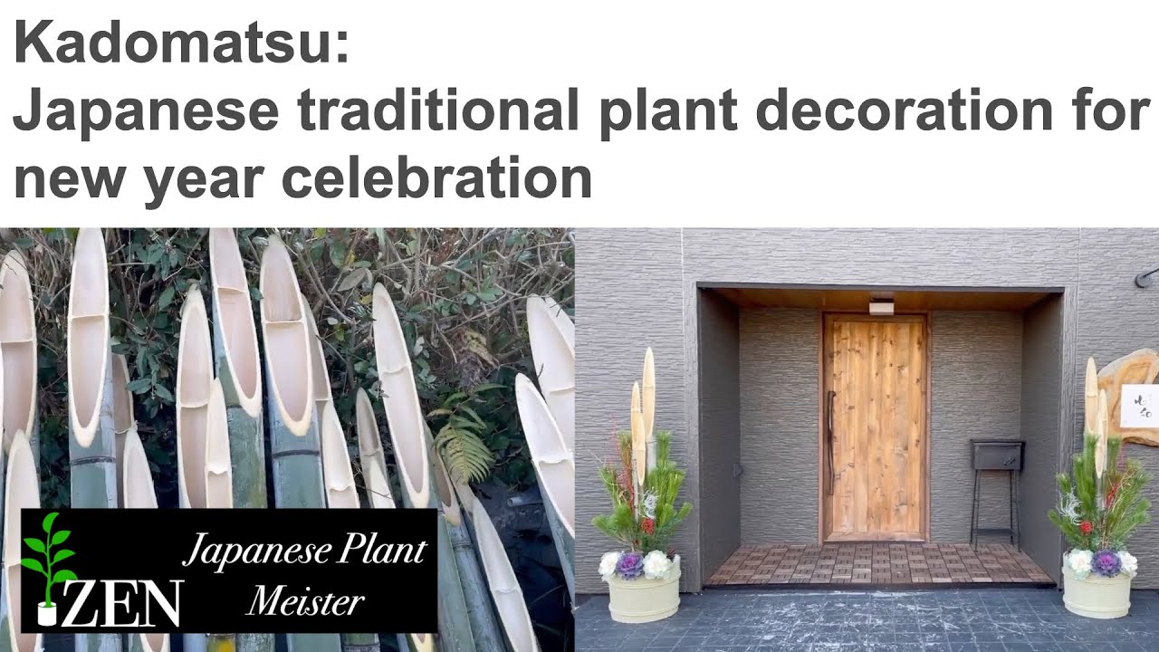 Kadomatsu: Japanese traditional plant decoration for new year celebration