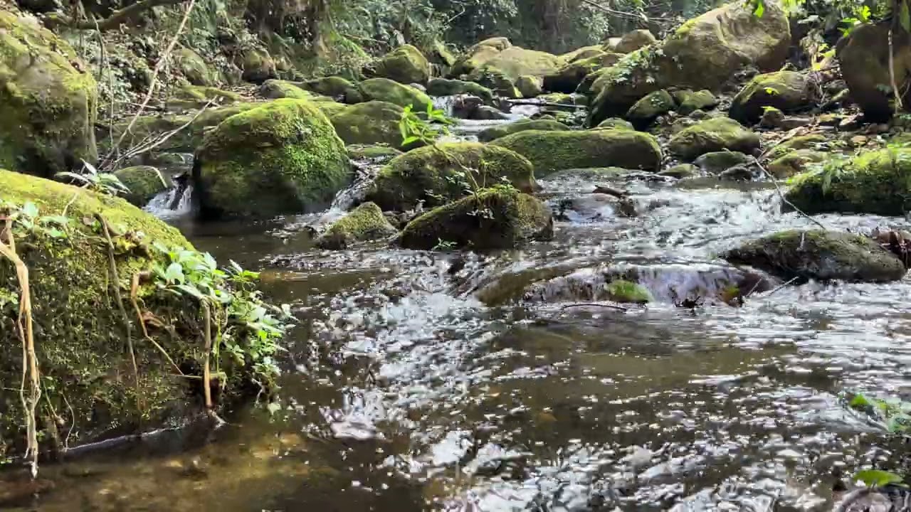 🌙 Night Relaxation | River Water Sounds for Deep Sleep & Focus #RunningRiver#RiverSounds