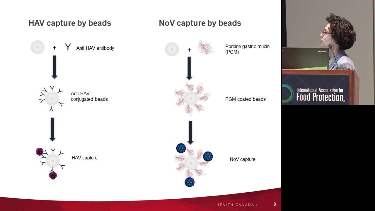 ILSI NA: Detection of Foodborne Viruses During Long Term Storage in Chocolate (Neda Nasheri)