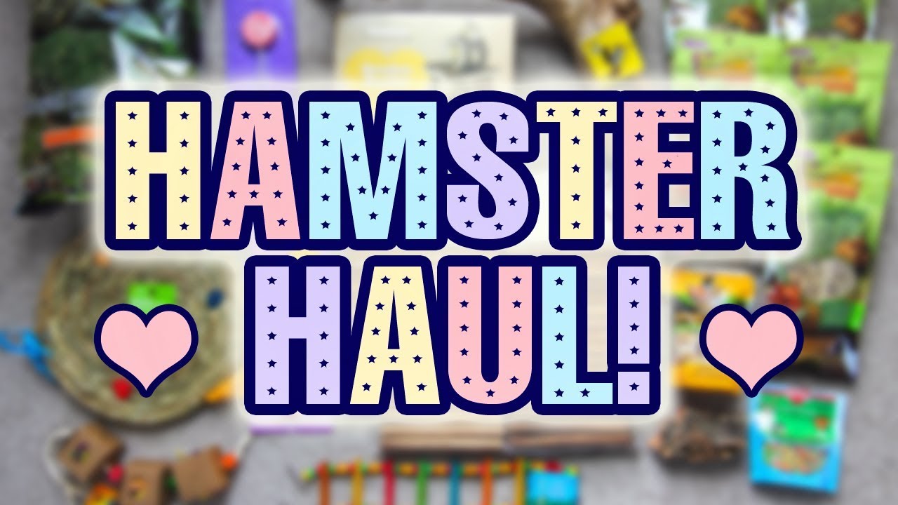 Hamster Supplies Haul | Kashi's Birthday Gifts!