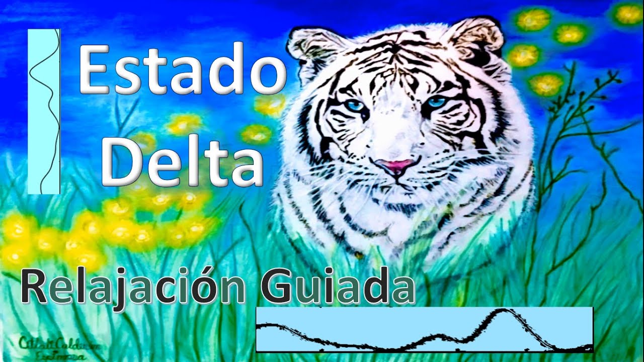 Estado Delta, M&eacute;todo Silva de Control Mental