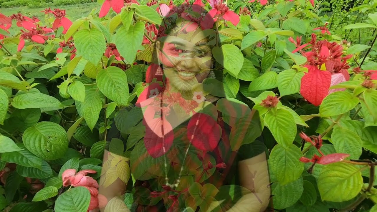 Educational review and blog story on growing flowers the right way ⁨@CineGolpoA⁩