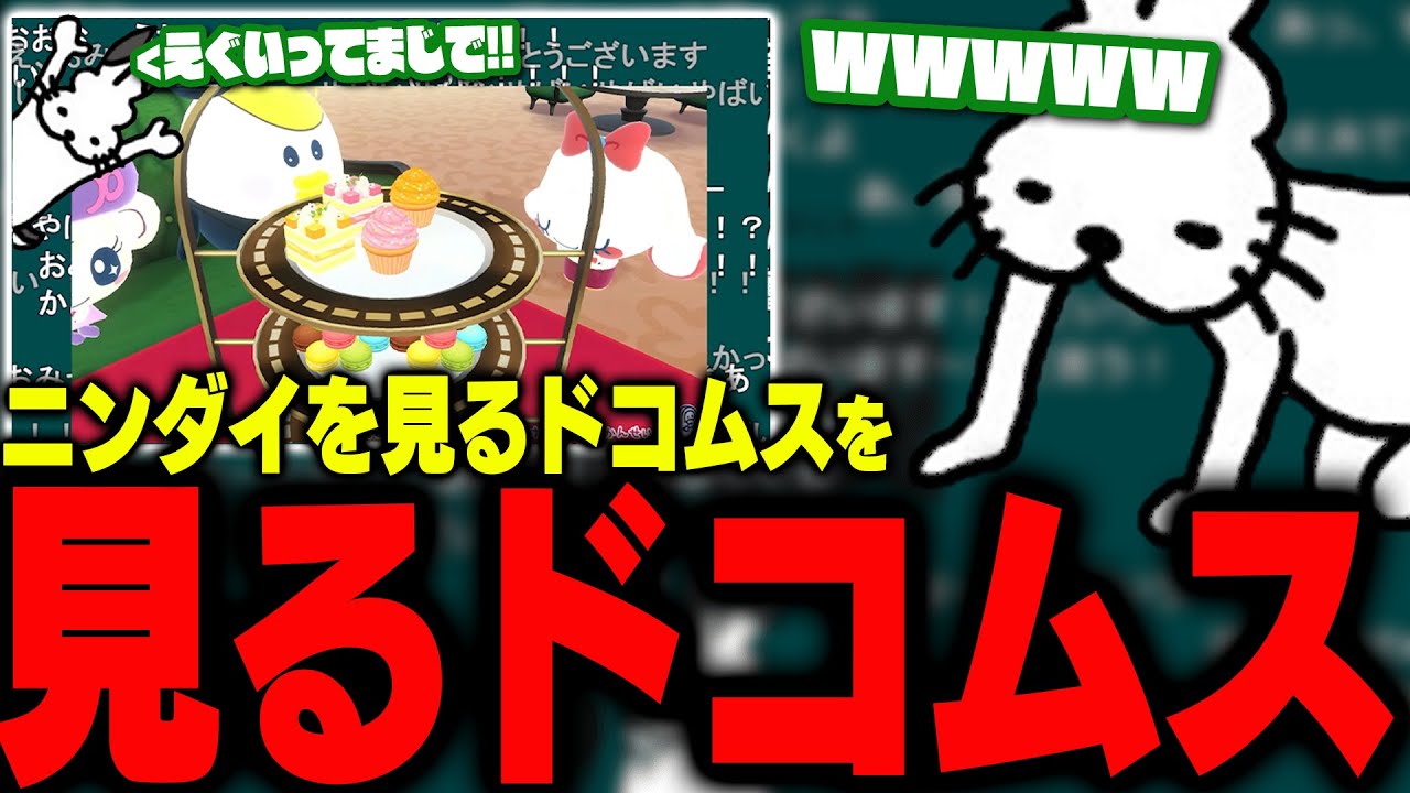 「ニンダイを見るドコムス」を見るドコムス【ドコムス雑談切り抜き】