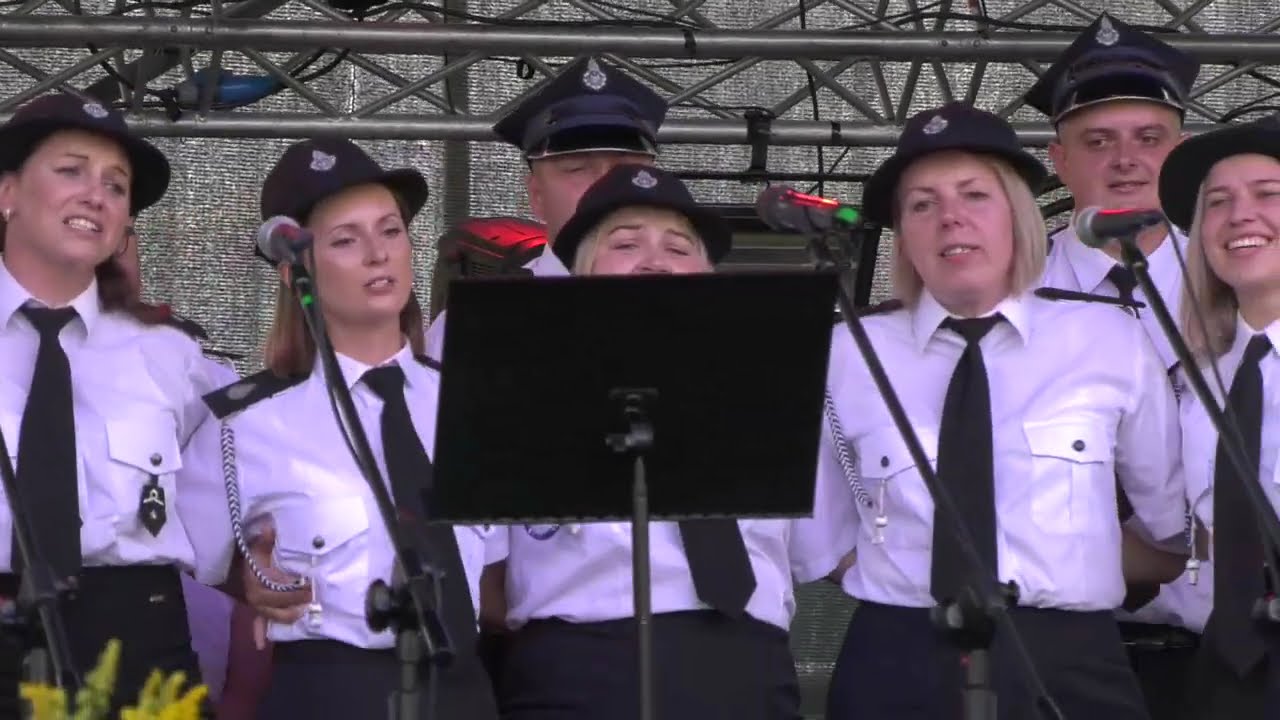 Gminne Dożynki w Trzebosi , występy zespołów
