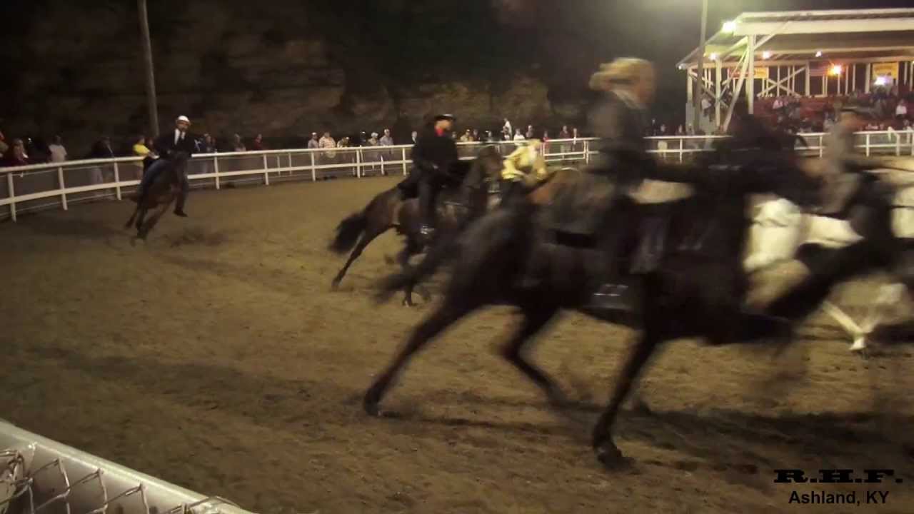 VA-KY District Fair Horse Show 